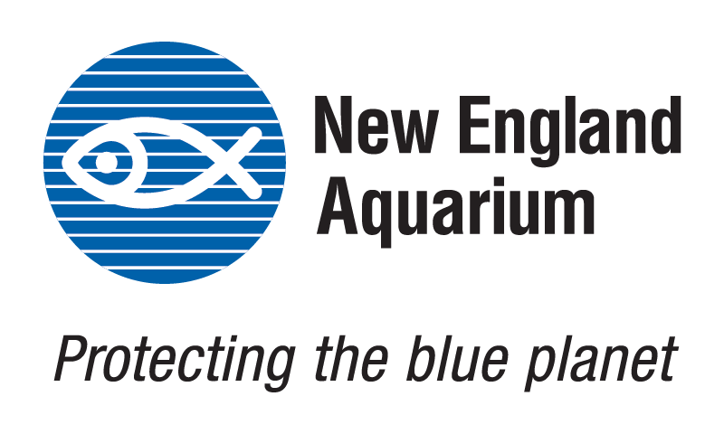 New England Aquarium Logo