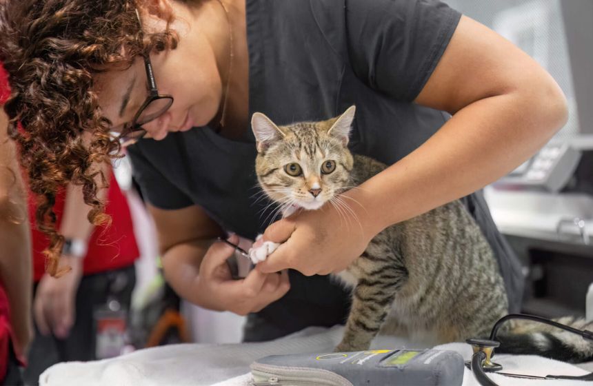 GivingTuesday Volunteer Opportunities in Greater Boston